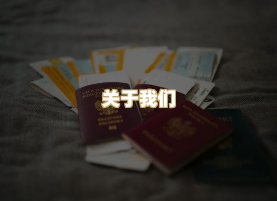 关于我们